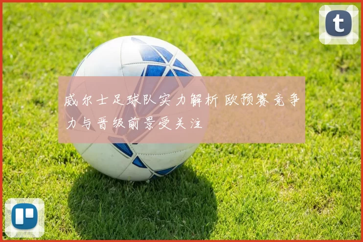 威尔士足球队实力解析 欧预赛竞争力与晋级前景受关注
