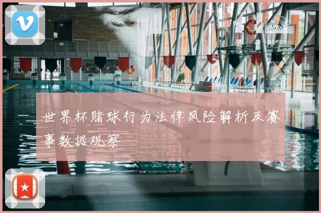 世界杯赌球行为法律风险解析及赛事数据观察