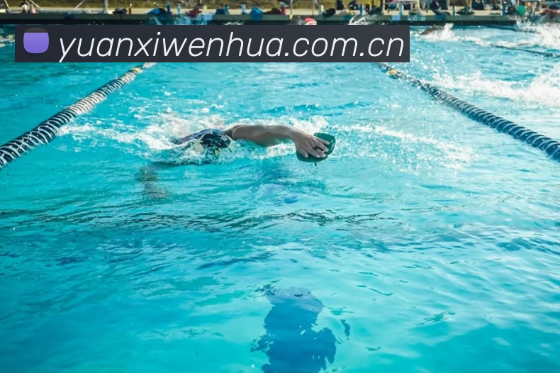 九游网页版登录入口 - 九游(中国)APP 高清赛事图